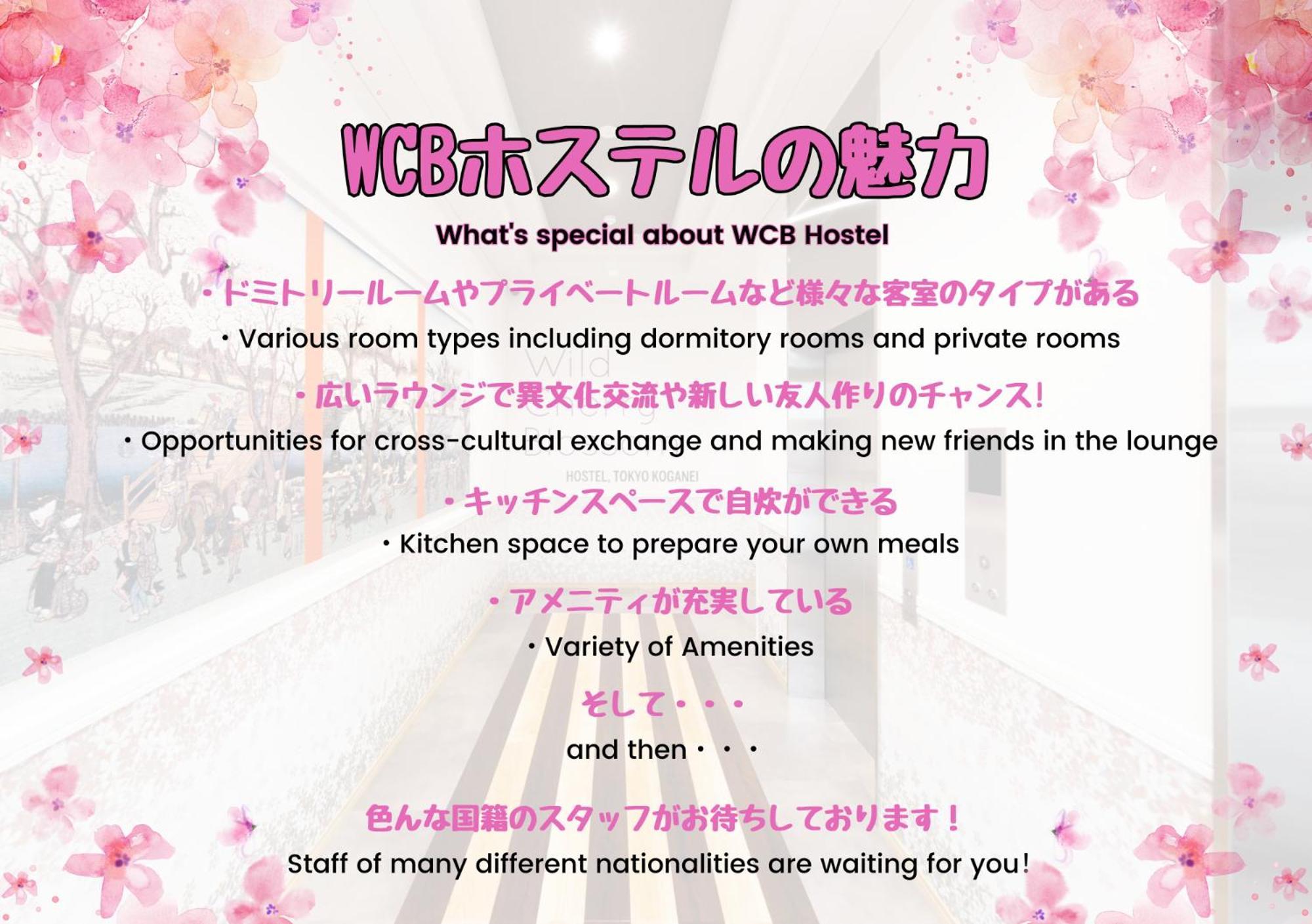 Wild Cherry Blossom-Hostel,Tokyo Koganei- Εξωτερικό φωτογραφία
